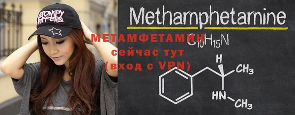 прущие грибы Кулебаки