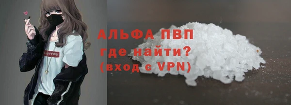 прущие грибы Кулебаки