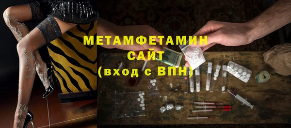 прущие грибы Кулебаки