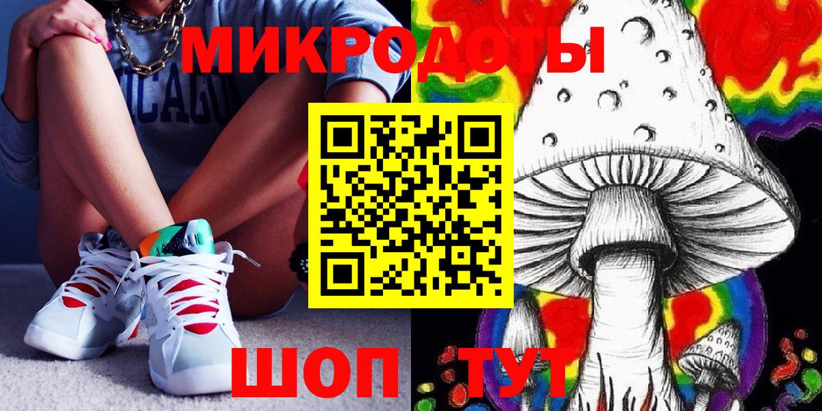 дарнет шоп  Псилоцибиновые грибы Psilocybe  Петровск  Псилоцибиновые грибы Psilocybe 