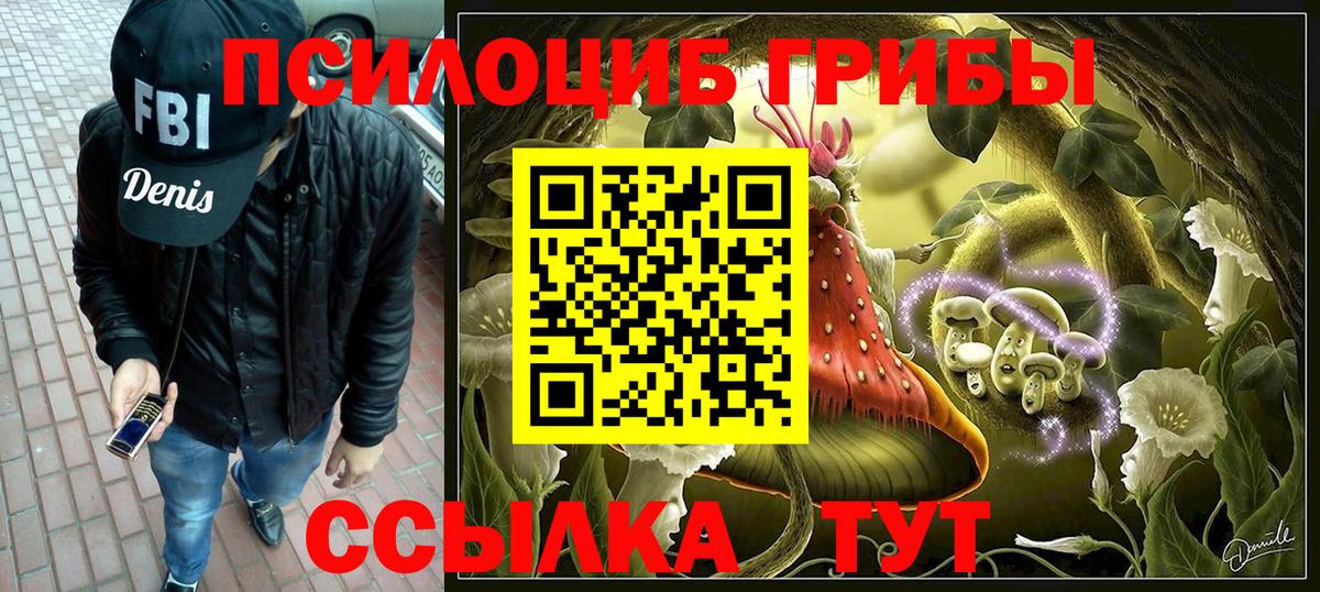 Галлюциногенные грибы Psilocybine cubensis Петровск