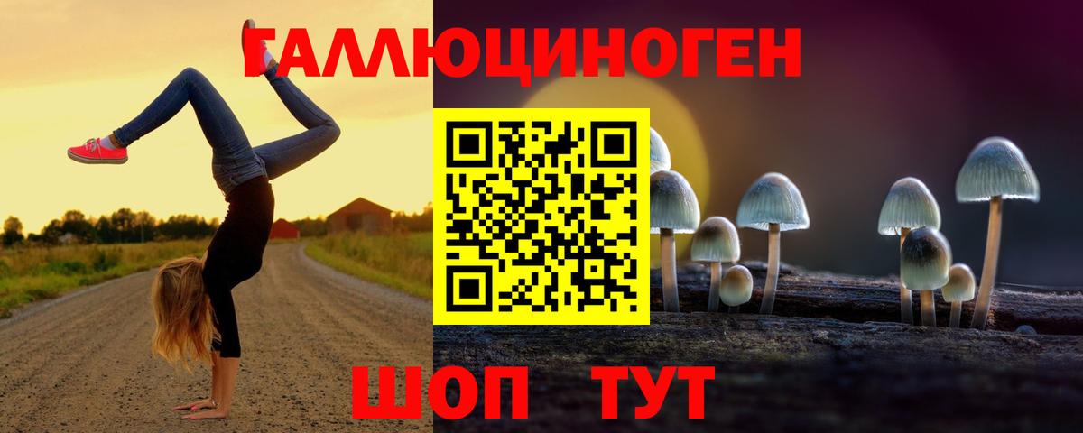 Петровск  Галлюциногенные грибы ЛСД  Вход с VPN 