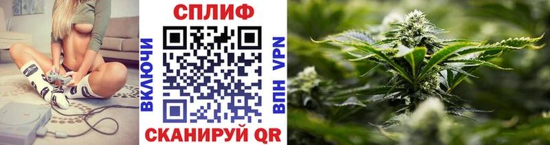 Шишки марихуана индика  магазин  наркотиков  мориарти официальный сайт  Петровск 